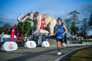 BIB: 
                            <button type="button" onclick="openModal(26541600)" class="btn btn-primary btn-sm float-right btn-popup" data-toggle="modal" data-target=".modal-high-quality">
                        <i class="fas fa-shopping-cart"></i> Add to Cart
                    </button>
                                            <button type="button" onclick="isThisMe(26541600, true)" class="btn btn-success btn-sm float-right btn-popup btn-isme hidden" data-toggle="tooltip" data-placement="bottom" title="นี่คือรูปของคุณใช่ไหม คลิกที่นี่เพื่อเอาเข้าอัลบั้ม">
                        <i class="fas fa-plus"></i> Add to album
                    </button>
                    <button type="button" onclick="isThisMe(26541600, false)" class="btn btn-warning btn-sm float-right btn-popup btn-isnotme hidden">
                        <i class="fas fa-ban"></i> Remove from album
                    </button>